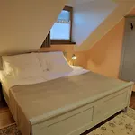 Hotel Zamorc Skofja Loka